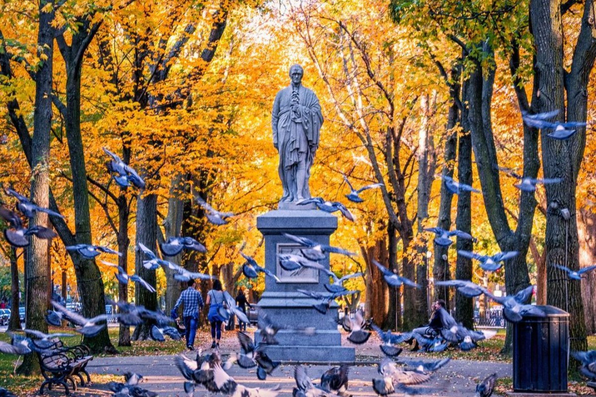 Boston Foliage Predicted To Be Brightest On Record