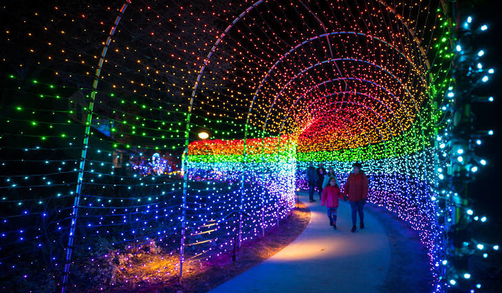 Last winter, 70,000 visitors came to see Tower Hill’s award-winning holiday lights; this winter, the Boylston garden will glow with half a million lights for Night Lights: Fantastical Forest from November 21 through January 3