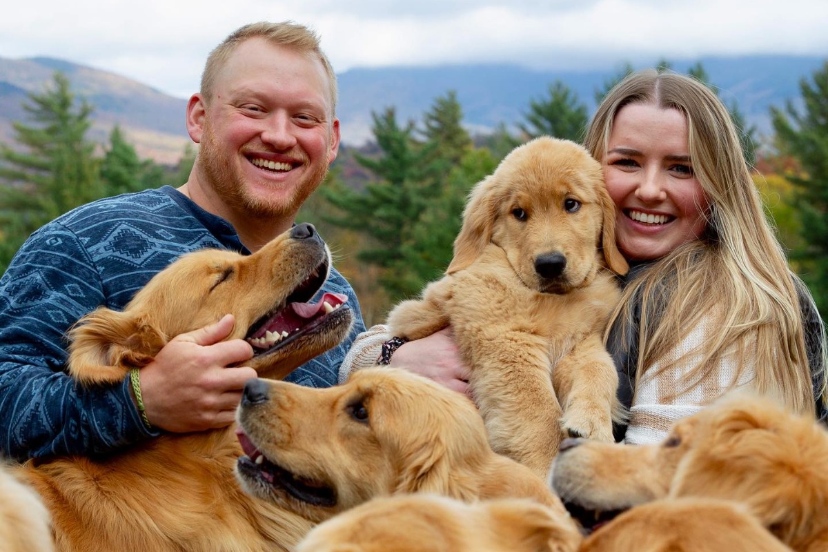 Cuddle At This Golden Retriever Experience Happy Hour