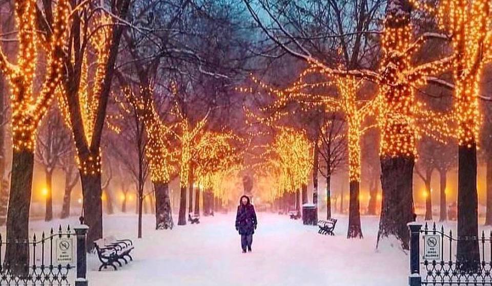 17 Festive Things To Do In Boston This December