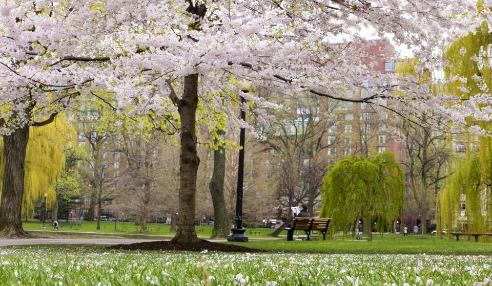 Spring In Boston: 6 Unconventional Local Things To Do That Don’t Suck