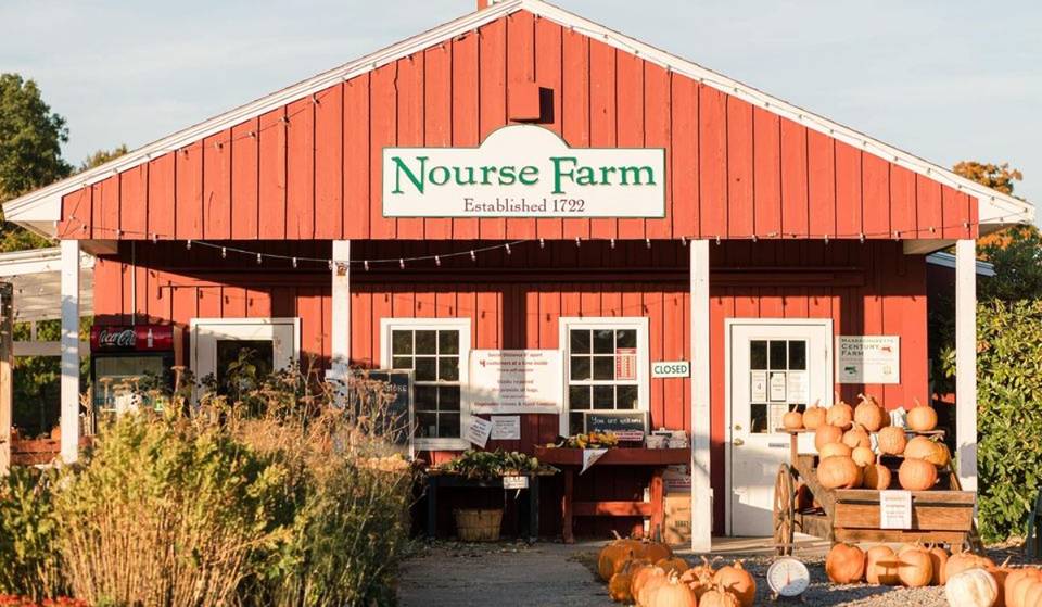 This 300-Year-Old Farm Only 1 Hour From Boston Is Perfect For Strawberry Picking