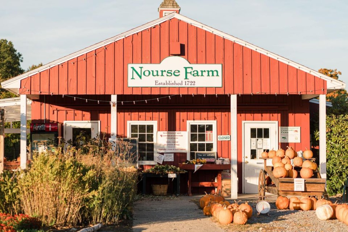 This 300-Year-Old Farm Has U-Pick Berries 1 Hour From Boston