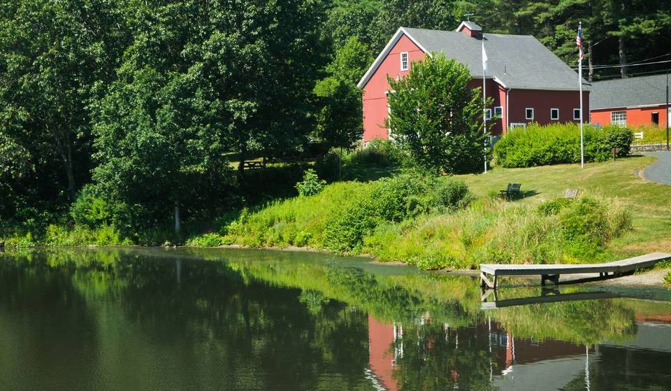 Massachusetts Towns To Begin Spraying Pesticides To Mitigate Deadly EEE Virus