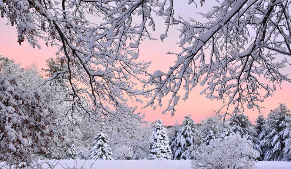 Looks Like Some New Englanders Are In For A White Thanksgiving