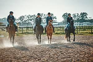 15 Best Farms To Go Horseback Riding Near Boston