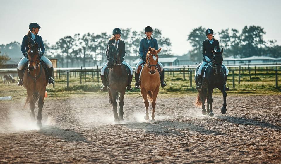 15 Best Farms To Go Horseback Riding Near Boston
