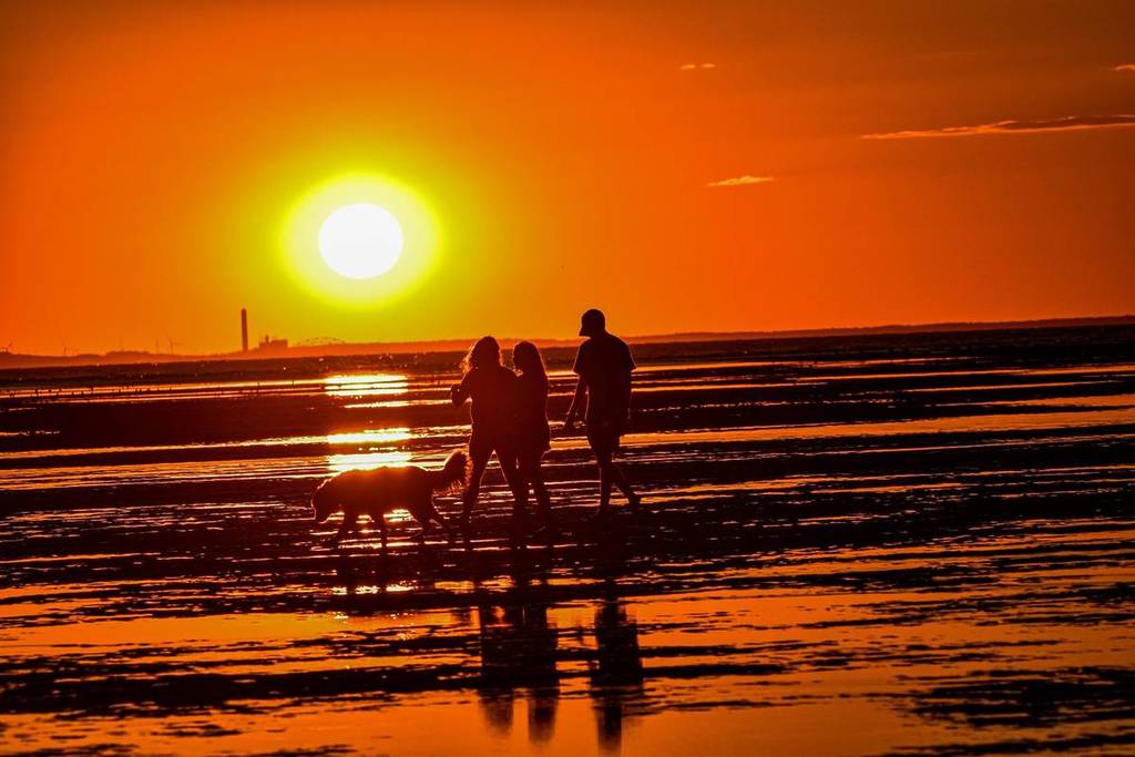 mayflower beach dennis sunset