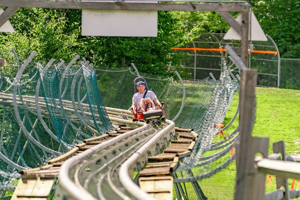 mountain roller coaster traveling through alpine forest