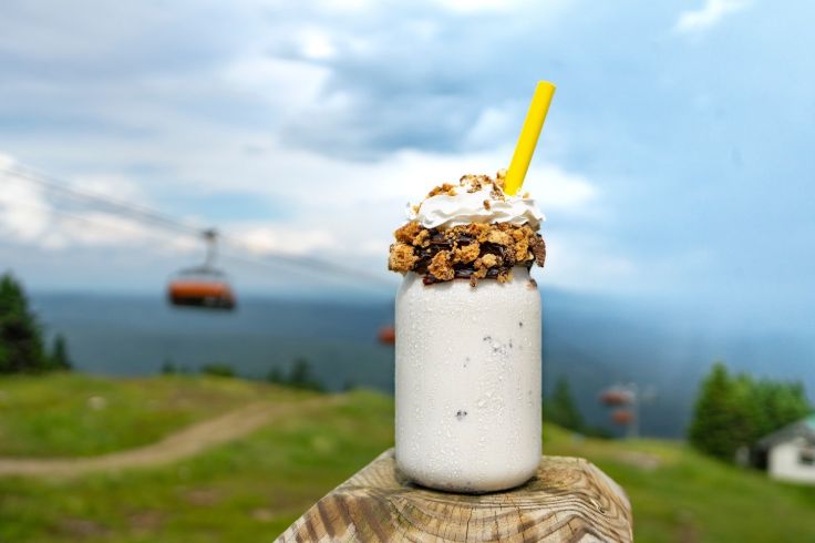 mountain view milkshake