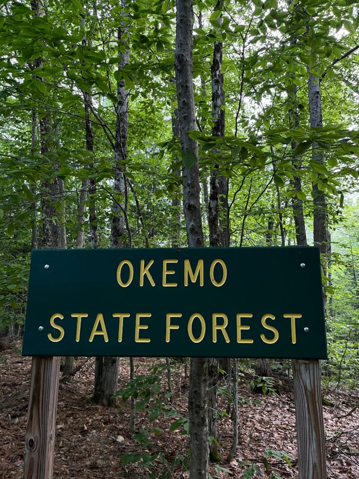 sign for okemo state forest