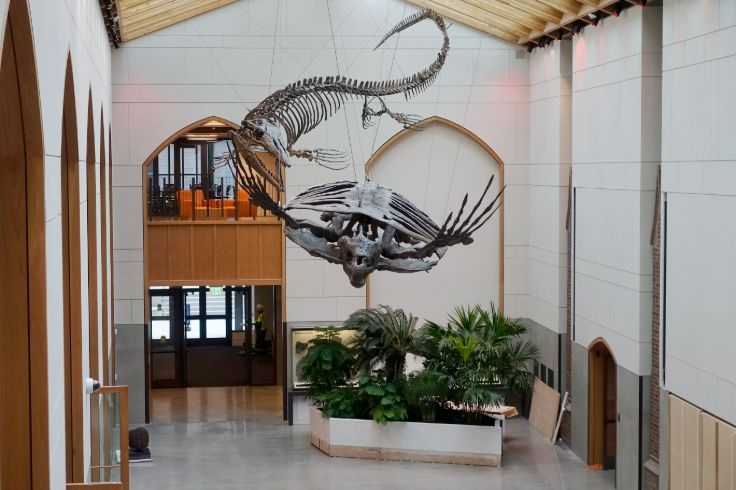 inside of art museum with dino