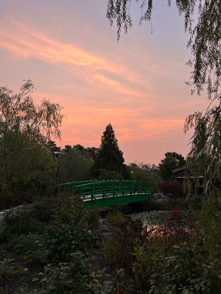 monetp ond garden at sunrise