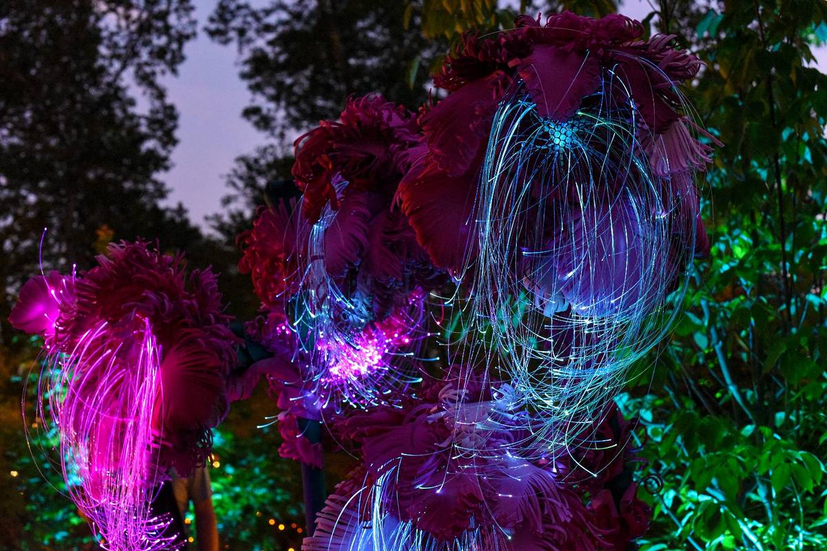 An Otherworldly Display Of Mysterious Glowing Plants Illuminates