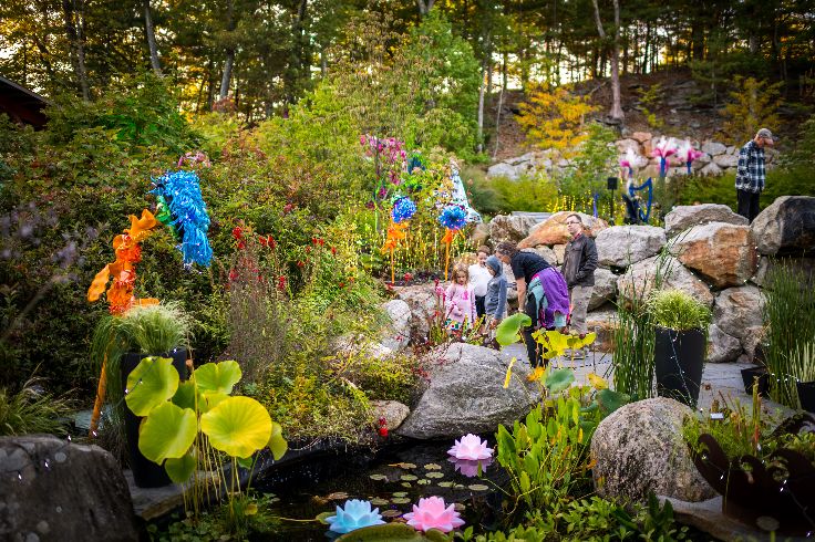 colorful garden plants
