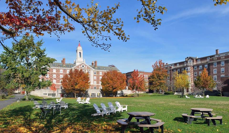 New Data Reveals That Massachusetts Has The #1 Average IQ Of All 50 States