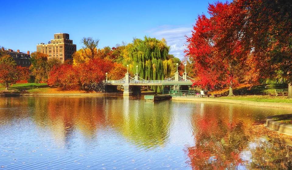 Here&#8217;s When Peak Foliage Will Transform Boston Into A Canopy Of Outstanding Yellow, Red, Orange, And Brown Colors