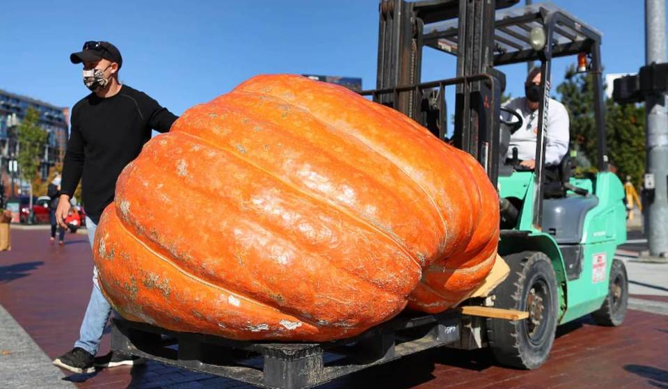 At 1,573 Pounds, Boston Welcomes A Mass State Record-Holding Gourd To The North End