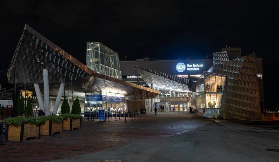 A Night At The Aquarium: Boston&#8217;s Aquarium Hosts &#8216;Aquarium After Dark&#8217; Adults-Only Edition With Special Late-Night Hours For One Night