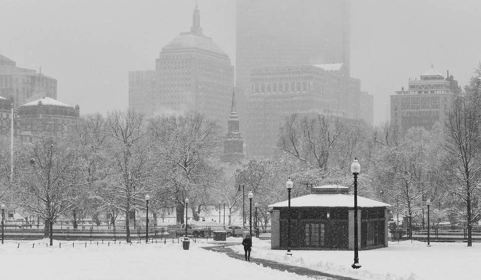 When It Snows In Boston: 11 Indoor And Outdoor Things To Do That Beat Staying Home, And Some Are Free
