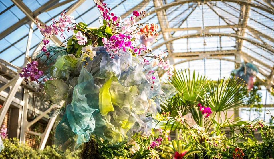 A Massive Floral Utopia With Over 2,000 Living Orchids Arrived At This Botanical Garden Under 1 Hour From Boston