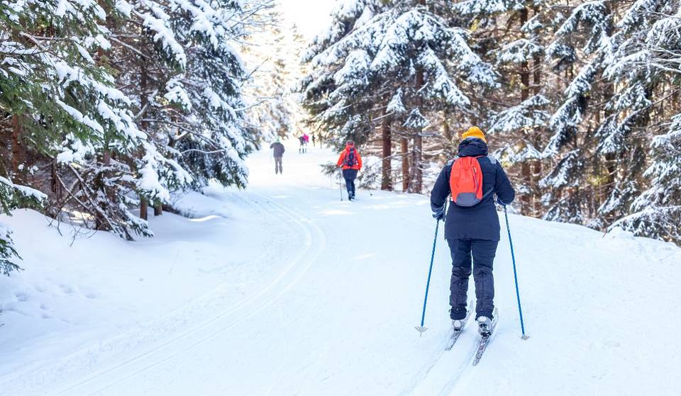Boston’s Closest Winter Escape: This Scenic Ski Track Is Just 15 Minutes Away—With Nordic Night Skiing, Snowshoeing & 2,000 Acres to Explore (And You Don’t Even Need A Car To Get There)