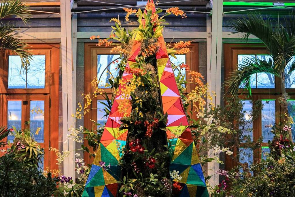 orchids after dark new england botanic garden tower hill