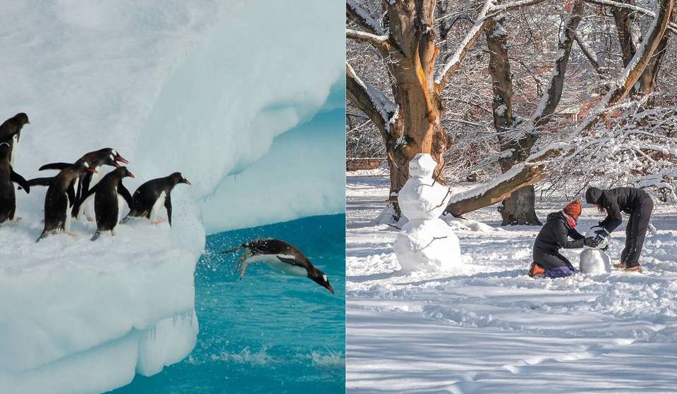 Polar Vortex Sends Bone-Chilling Cold Air Into First Week Of February In Boston—With Temperatures Colder Than Northern Antarctica
