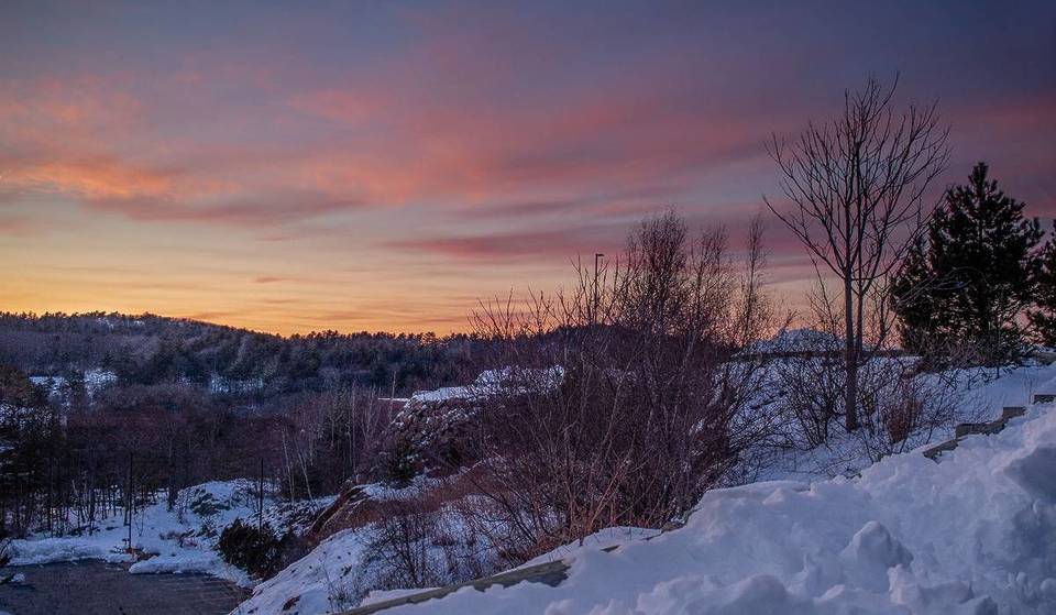 This Easy 5-Mile Scenic Skyline Hike Is Under 15 Minutes From Boston—Set In A Magical 7,000-Acre Park With Over 125 Trails
