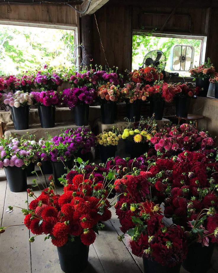 farmstand with flowers