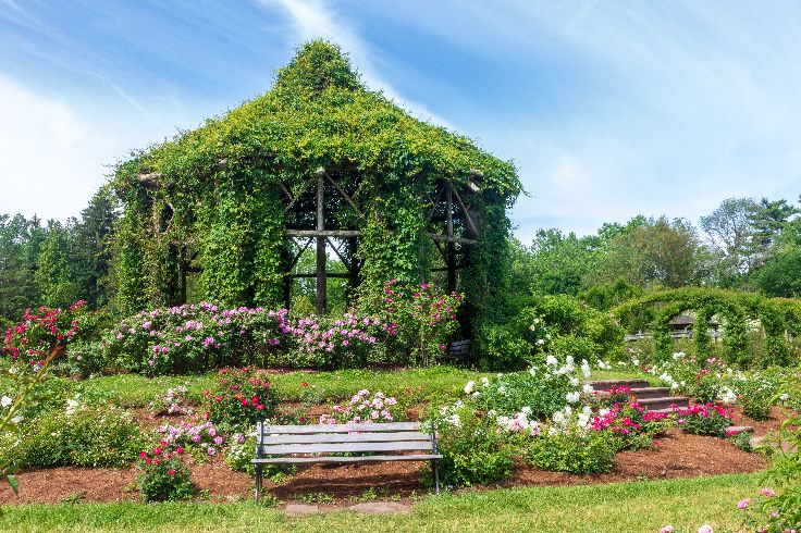 rose gazebo