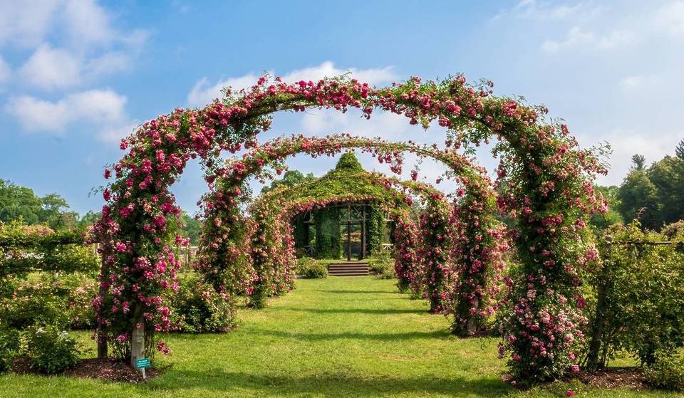 America’s Oldest Rose Garden Is Only 90 Minutes From Boston—The 3rd Largest In The U.S. With Over 15,000 Rose Bushes