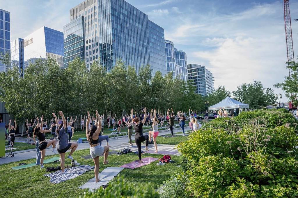 large group of people doing yoga outdoors in boston