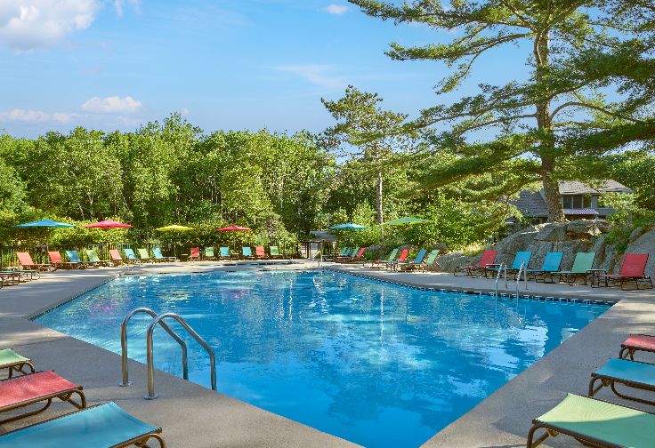 outdoor pool surrounded by forest
