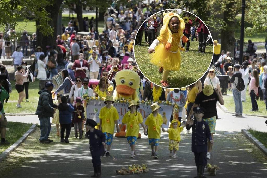duckling day boston public garden 100s of children in duck costumes