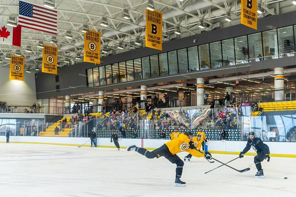 boston bruins ice hockey
