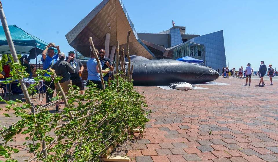 A 43-foot-long whale takes over this Boston wharf for World Ocean Day—plus, free programming and special guests