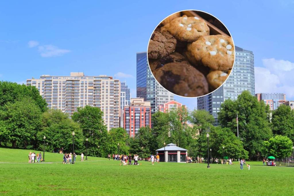 boston common cookies