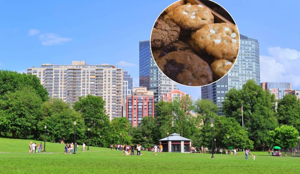 A giant cookie potluck is coming to Boston Common this fall—and you can taste them all
