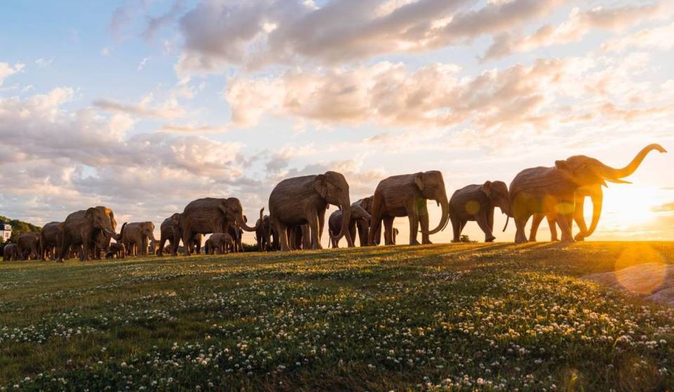 100 life-size elephants take over Back Bay next month for 1-mile-long art exhibit in Boston