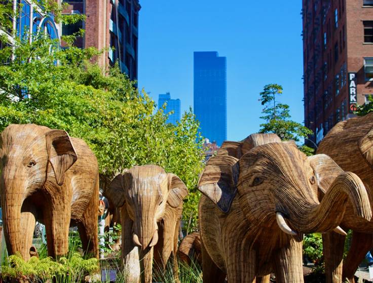 large elephants