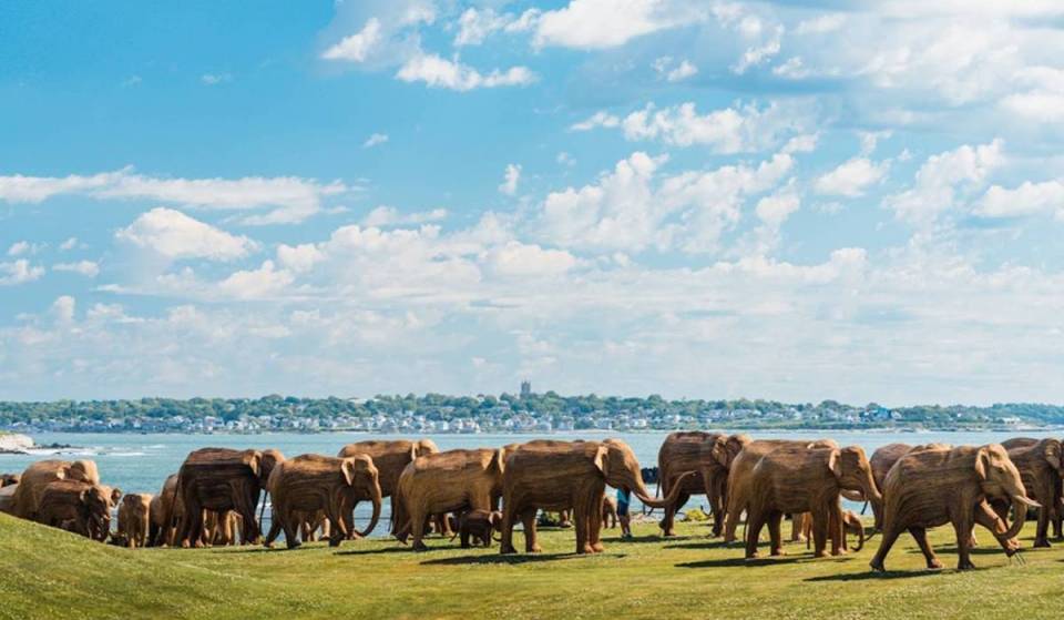 A spectacular 1-mile-long safari will take over the heart of Boston—with over 100 life-size elephants