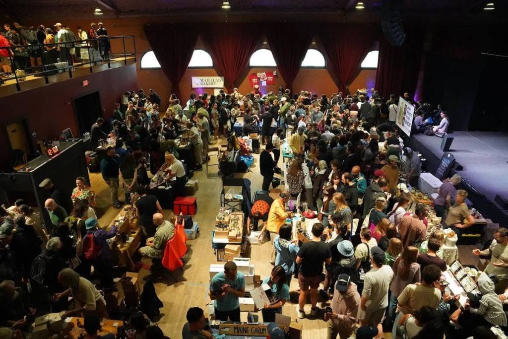 Somerville is hosting a massive free fermentation festival with a DIY ‘Kraut Mob,’ SCOBY swap, and live music—here is what to know about early access