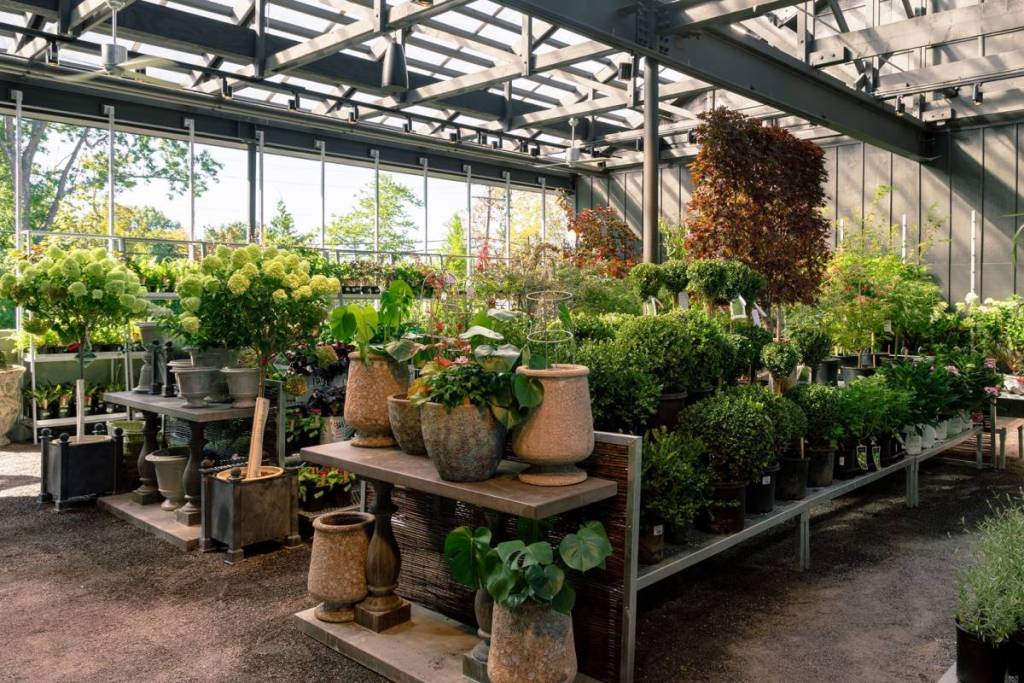 terrain nursery