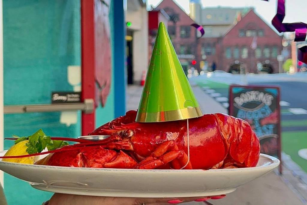 birthday lobster