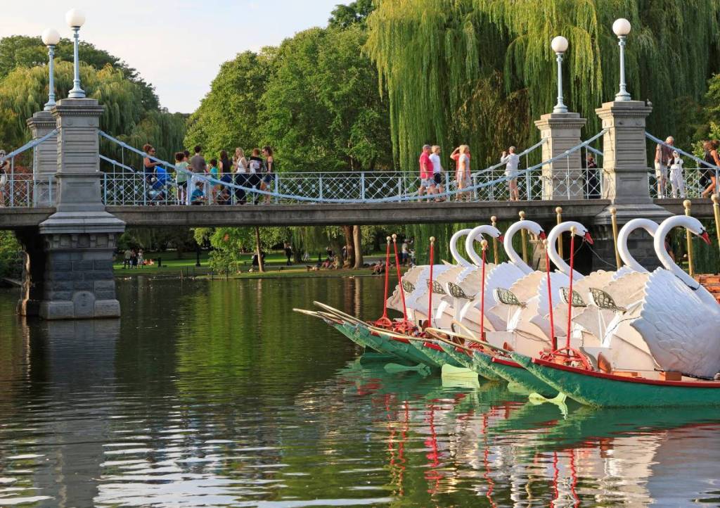 swan boats boston