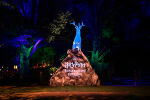 A magical fall escape from Boston: Harry Potter’s Forbidden Forest returns after 4 years with 4,000+ lights, life-sized creatures & interactive wand spells