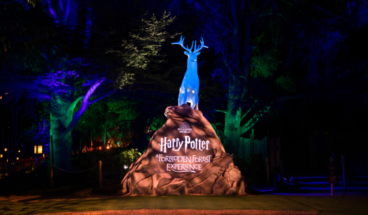 A magical fall escape from Boston: Harry Potter’s Forbidden Forest returns after 4 years with 4,000+ lights, life-sized creatures & interactive wand spells