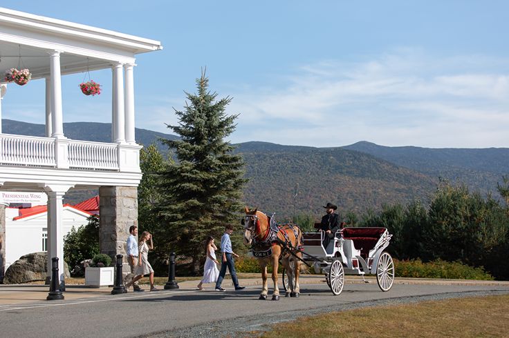 carriage horse ride omni mount washington