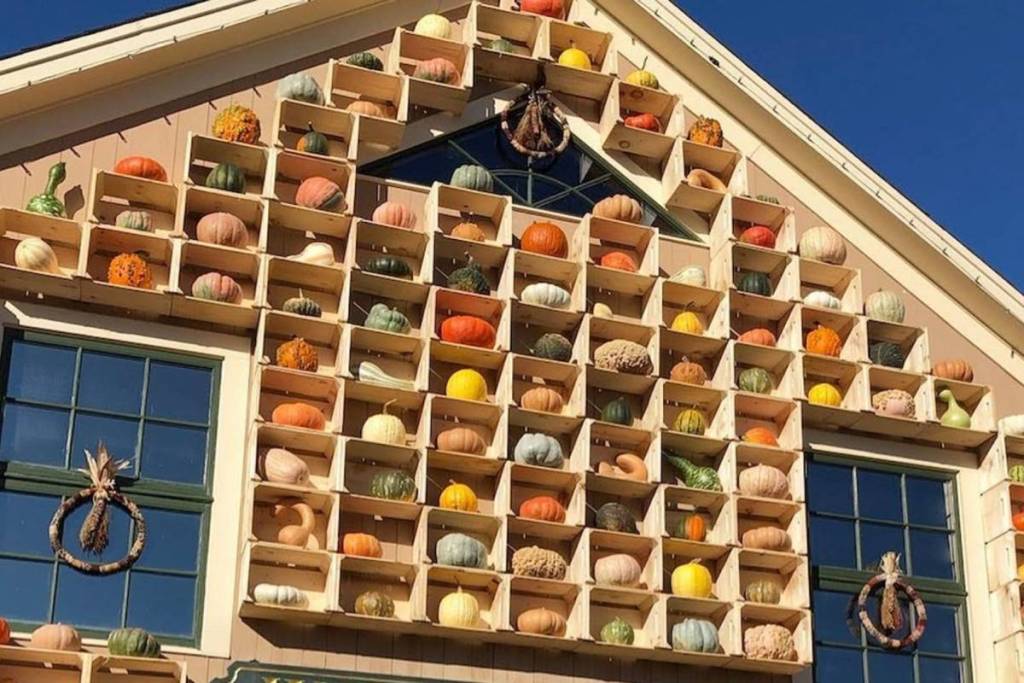 pumpkin wall